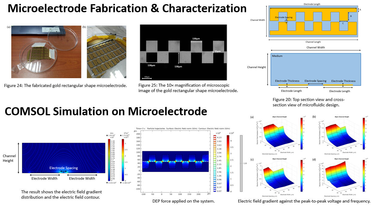 The fabricated microelectrode and examination under microscope. COMSOL simulation study on the performance of the microelectrode and the results were presented in graph by using MATLAB.